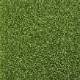 Nano Grass